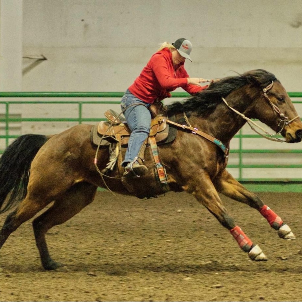 Meet your Posher, Jaiden